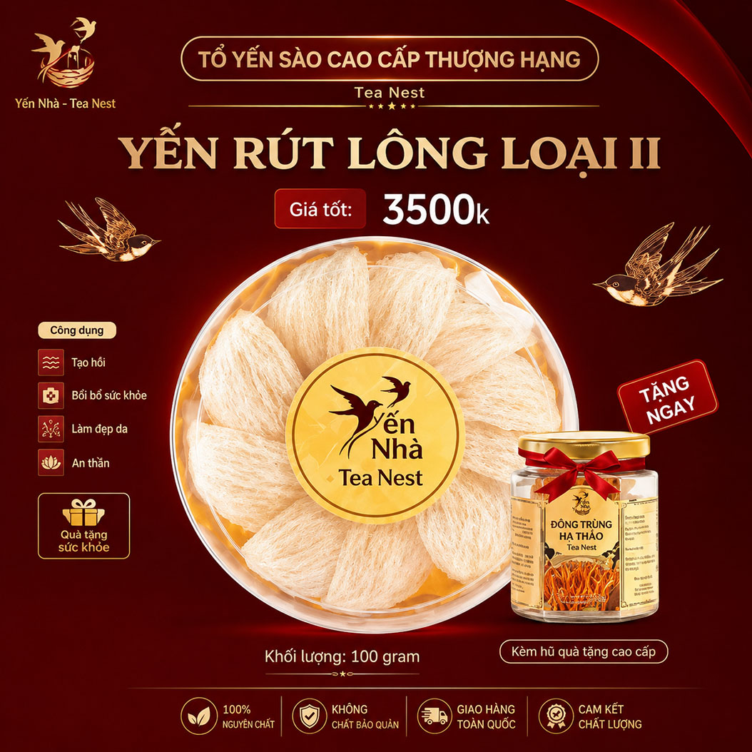 Yến Rút Lông Loại II